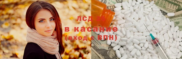 стафф Аркадак