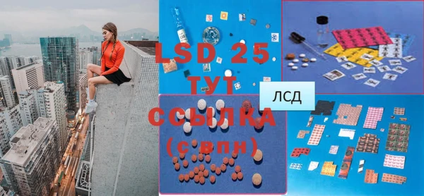 крисы Заводоуковск
