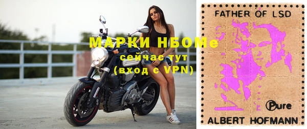 стафф Аркадак