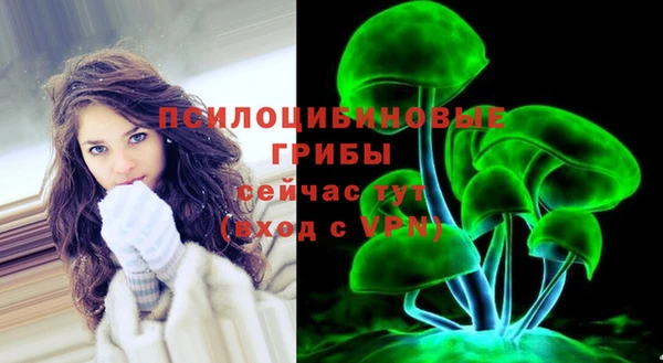 прущая мука Армянск