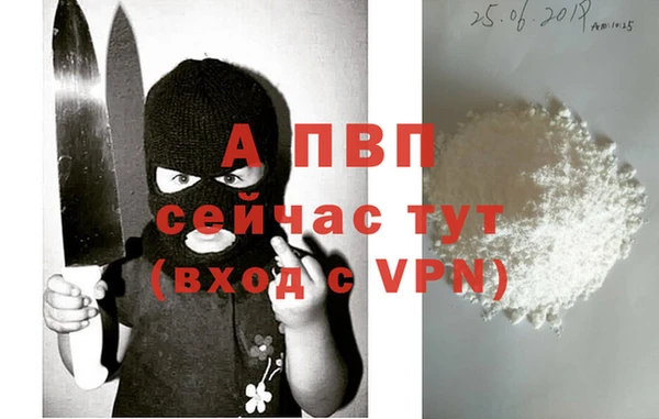 эйфоретик Арсеньев