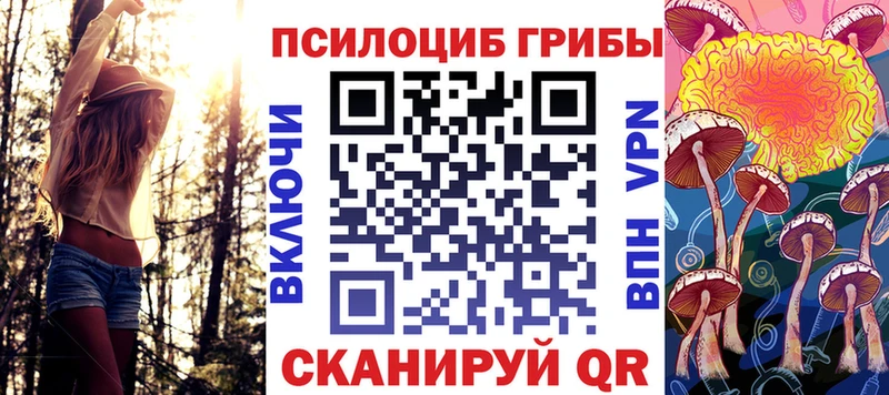 Псилоцибиновые грибы GOLDEN TEACHER  Саки 